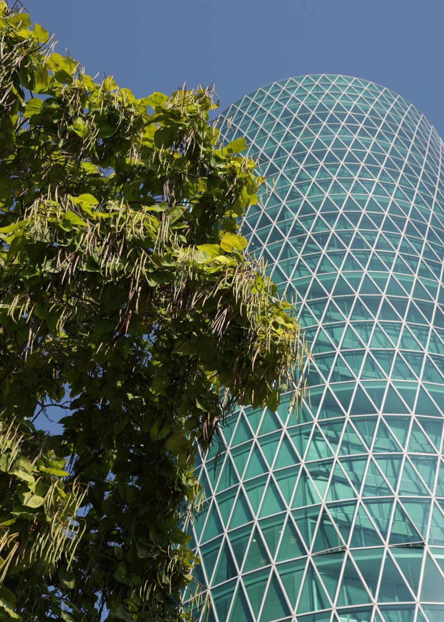 Ibis Frankfurt Centrum Отель